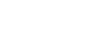 Schönhofer Sales and Engineering GmbH logo